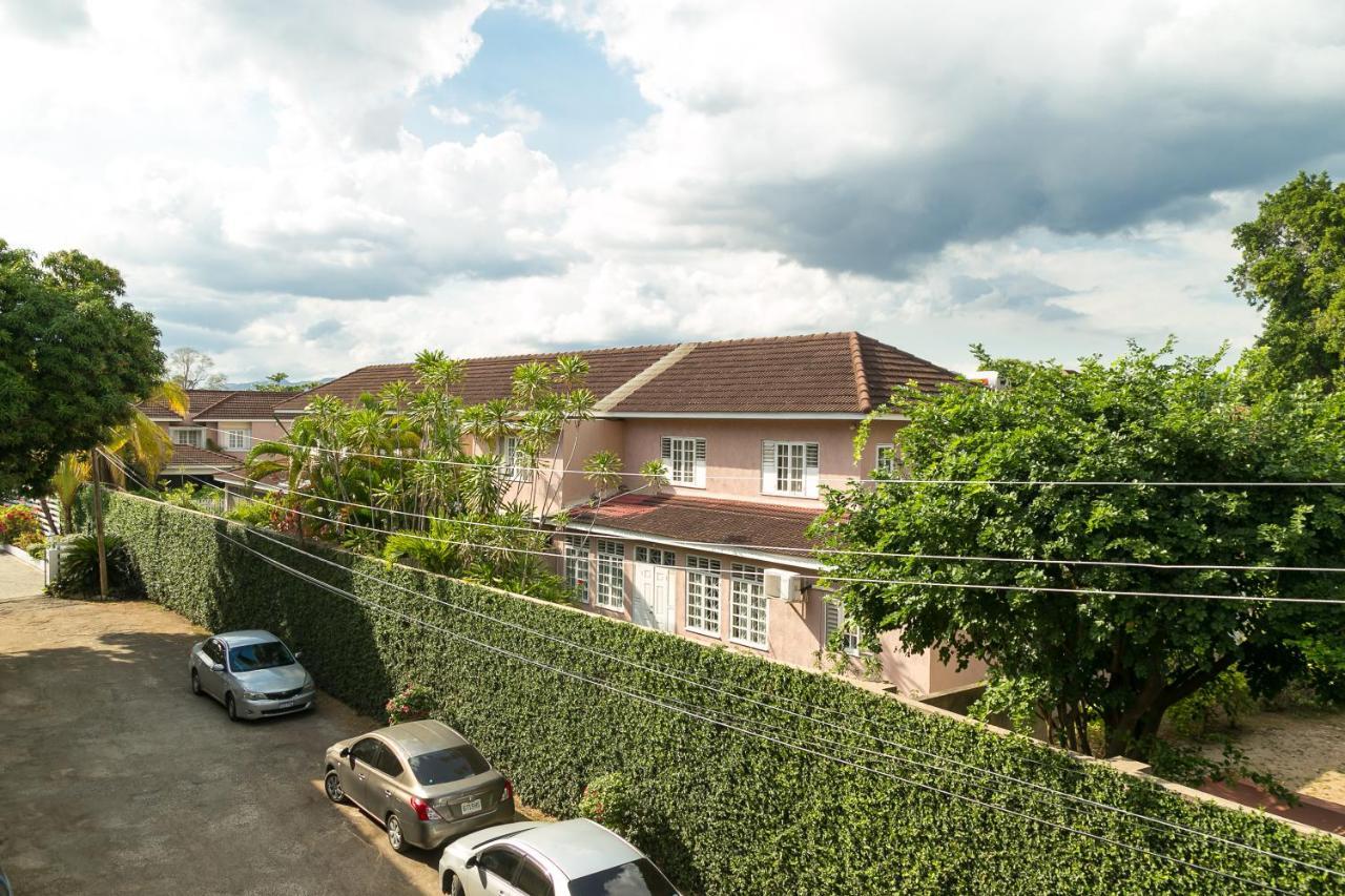 Choose To Be Happy At Seymour # 9 And #16 - Studio Apartments Кингстон Экстерьер фото
