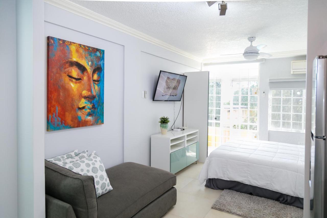 Choose To Be Happy At Seymour # 9 And #16 - Studio Apartments Кингстон Экстерьер фото
