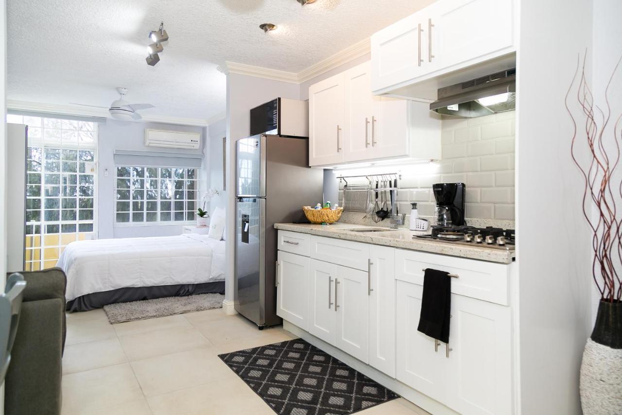 Choose To Be Happy At Seymour # 9 And #16 - Studio Apartments Кингстон Экстерьер фото