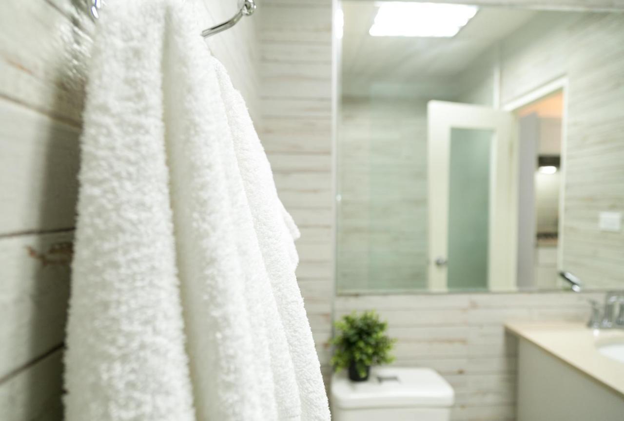 Choose To Be Happy At Seymour # 9 And #16 - Studio Apartments Кингстон Экстерьер фото